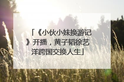 《小伙小妹换游记》开播，黄子韬徐艺洋跨国交换人生