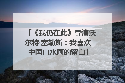 《我仍在此》导演沃尔特·塞勒斯：我喜欢中国山水画的留白