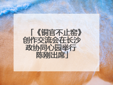 《铜官不止窑》创作交流会在长沙政协同心园举行 陈刚出席