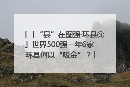 「“县”在图强·环县③」世界500强一年6家 环县何以“吸金”？