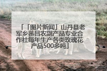 「图片新闻」山丹县老军乡蕃昌农副产品专业合作社每年生产各类玫瑰花产品500多吨