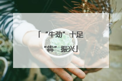“牛劲”十足“犇”振兴