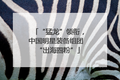 “猛龙”领衔，中国明星装备组团“出海圈粉”