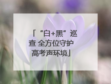 “白+黑”巡查 全方位守护高考声环境
