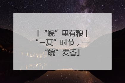 “皖”里有粮｜“三夏”时节，一“皖”麦香