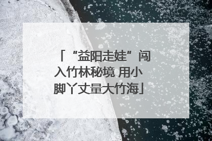 “益阳走娃”闯入竹林秘境 用小脚丫丈量大竹海