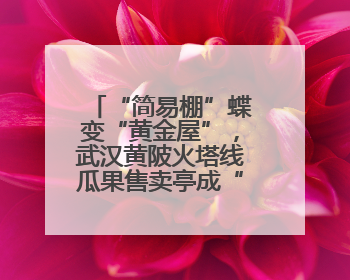 “简易棚”蝶变“黄金屋”，武汉黄陂火塔线瓜果售卖亭成“金招牌”
