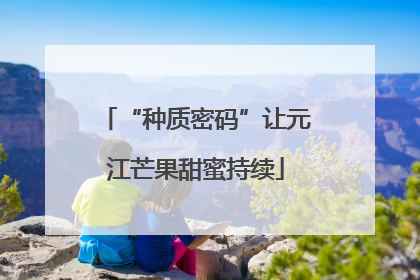 “种质密码”让元江芒果甜蜜持续
