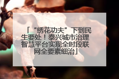 “绣花功夫”下到民生要处！泰兴城市治理智慧平台实现全时段联网全要素细治