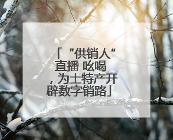 “供销人” 直播 吆喝，为土特产开辟数字销路