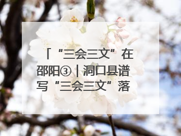 “三会三文”在邵阳③｜洞口县谱写“三会三文”落实新篇章 构建协同联动大格局