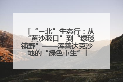 “三北”生态行：从“黄沙蔽日”到“绿毯铺野”——浑善达克沙地的“绿色重生”