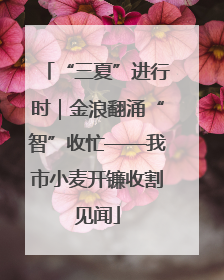 “三夏”进行时｜金浪翻涌“智”收忙——我市小麦开镰收割见闻
