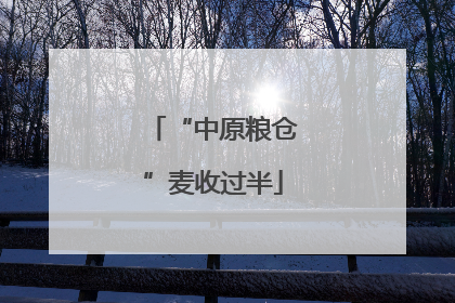“中原粮仓”麦收过半