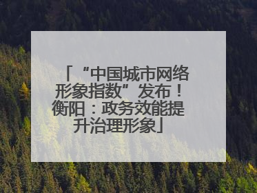 “中国城市网络形象指数”发布！衡阳：政务效能提升治理形象