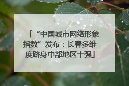 “中国城市网络形象指数”发布：长春多维度跻身中部地区十强