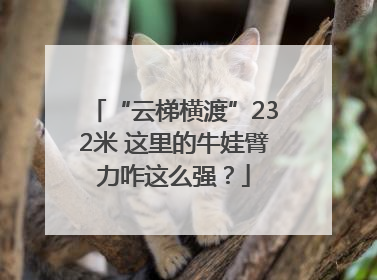 “云梯横渡”232米 这里的牛娃臂力咋这么强？