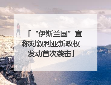 “伊斯兰国”宣称对叙利亚新政权发动首次袭击