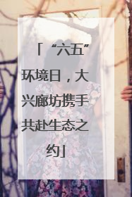“六五”环境日，大兴廊坊携手共赴生态之约