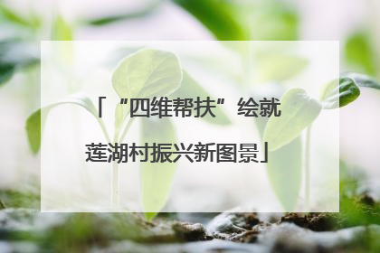 “四维帮扶”绘就莲湖村振兴新图景