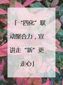 “四化”联动聚合力，宣讲走“新”更走心