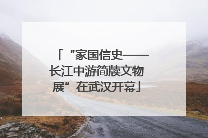 “家国信史——长江中游简牍文物展”在武汉开幕