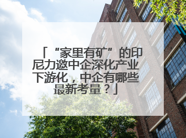 “家里有矿”的印尼力邀中企深化产业下游化，中企有哪些最新考量？