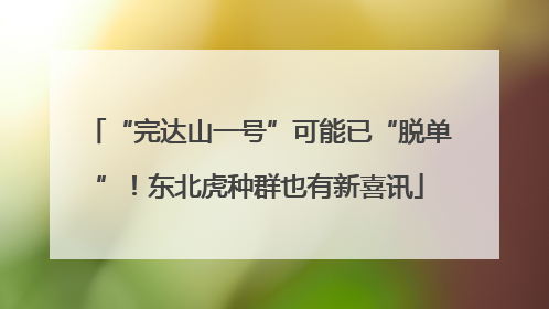 “完达山一号”可能已“脱单”！东北虎种群也有新喜讯