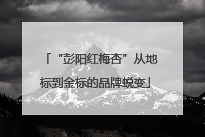 “彭阳红梅杏”从地标到金标的品牌蜕变
