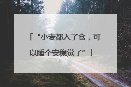 “小麦都入了仓，可以睡个安稳觉了”