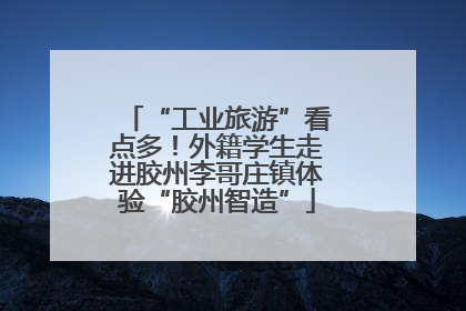“工业旅游”看点多！外籍学生走进胶州李哥庄镇体验“胶州智造”