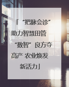 “把脉会诊”助力智慧田管 “数智”良方夺高产 农业焕发新活力