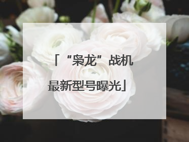 “枭龙”战机最新型号曝光