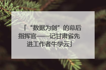 “数据为剑”的幕后指挥官——记甘肃省先进工作者牛学云