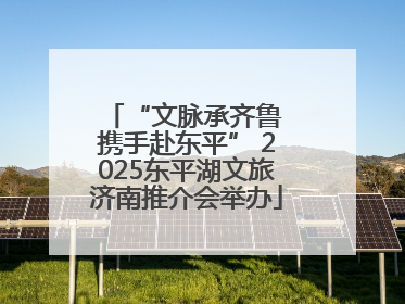 “文脉承齐鲁 携手赴东平” 2025东平湖文旅济南推介会举办