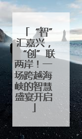 “智”汇嘉兴，“创”联两岸！一场跨越海峡的智慧盛宴开启