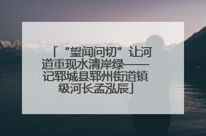 “望闻问切”让河道重现水清岸绿——记郓城县郓州街道镇级河长孟泓辰