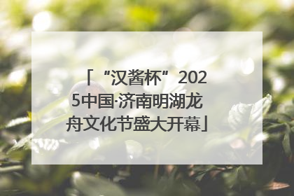 “汉酱杯”2025中国·济南明湖龙舟文化节盛大开幕