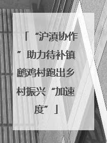 “沪滇协作”助力待补镇鹧鸡村跑出乡村振兴“加速度”