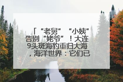 “老舅”“小姨”告别“姥爷”！大连9头斑海豹重归大海，海洋世界：它们已具备野外生存能力