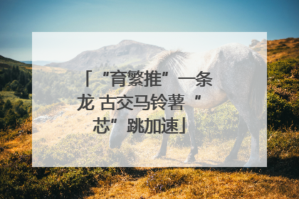 “育繁推”一条龙 古交马铃薯“芯”跳加速