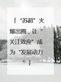 “苏超”火爆出圈，让“关注效应”成为“发展动力”