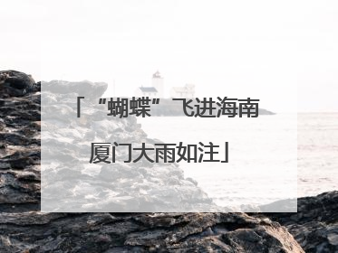 “蝴蝶”飞进海南 厦门大雨如注