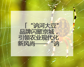 “讷河大豆”品牌闪耀京城，引领农业现代化新风尚——“讷河大豆”品牌新发地推介会圆满落幕