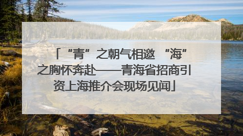 “青”之朝气相邀 “海”之胸怀奔赴——青海省招商引资上海推介会现场见闻