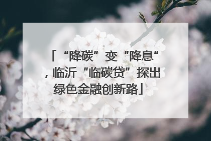 “降碳”变“降息”，临沂“临碳贷”探出绿色金融创新路