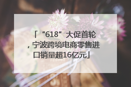 “618”大促首轮，宁波跨境电商零售进口销量超16亿元