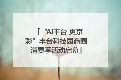 “AI丰台 更京彩”丰台科技园商圈消费季活动启幕