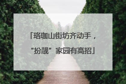 珞珈山街坊齐动手，“扮靓”家园有高招