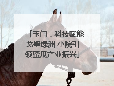 玉门：科技赋能戈壁绿洲 小院引领蜜瓜产业振兴